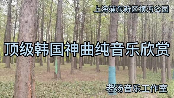顶级韩国神曲电子琴纯音乐欣赏