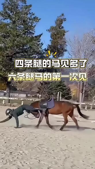 大晚上的真给我笑不行了 #骑马 #四驱变六驱 #我滴妈 #笑