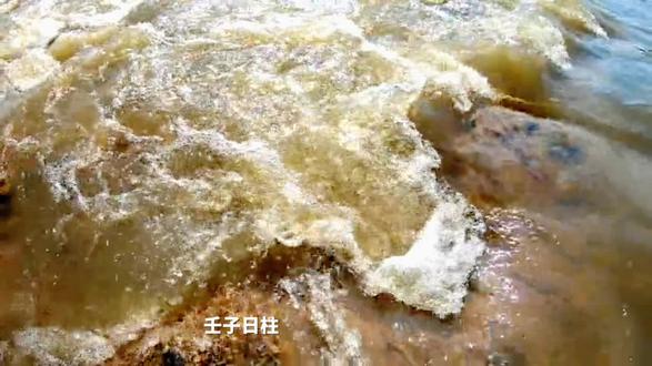 壬子日柱分析#国学文化 #无封建迷信