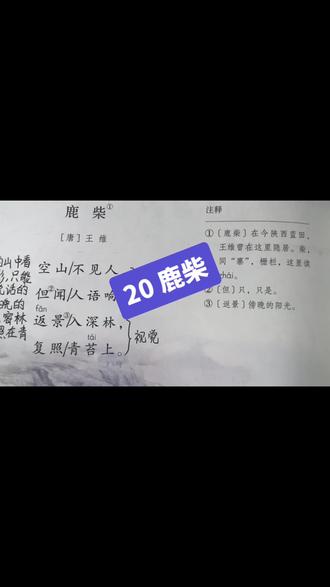 三上20 鹿柴 课文讲解