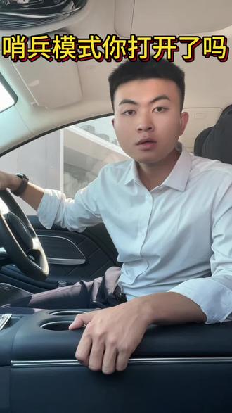 哨兵模式你打开过了吗 #岚图#哨兵模式
