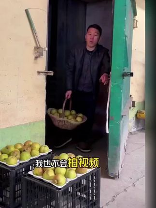 正宗山西玉露香梨,一年就吃这一季,果肉细腻无渣,脆甜多汁!#玉露香梨 #新鲜应季水果 #口感特别好 #优质农产品