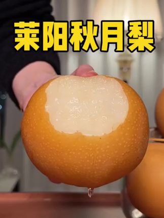 【邮政助农】正宗烟台莱阳秋月梨新鲜冰糖梨当季水果秋月梨现摘皮薄#莱阳秋月梨 #种草#强烈推荐#好物分享#好物推荐