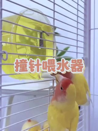 黄金依然自身规律运行 #黄金 #黄金知识 #黄金加工 #美联储议息会议