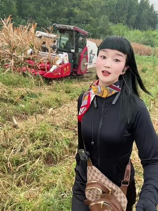 谋生很辛苦,但热愛就不一样了,每天不管辛苦不辛苦,高 兴最重要!#跨区收割记录 #服务三农支持三农 #田间地头就是我的舞台 #洋马1180收割机