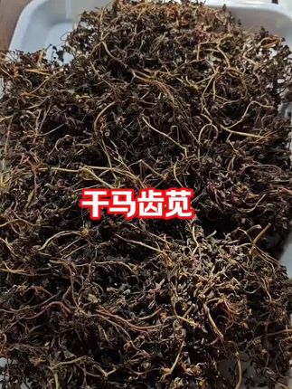 #无限回购的宝藏单品 #马齿苋 ,正品新货马齿苋干@DOU+小助手