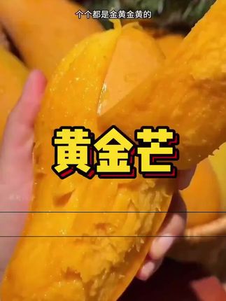芒果控冲!💥金煌芒个头超大,果肉金黄饱满,咬一口香甜爆汁!果核薄到忽略不计,口感细腻似冰淇淋~库存不多,速冲。#金煌芒果 R