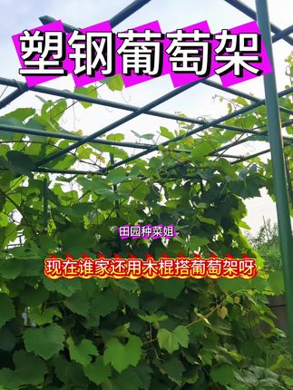 塑钢葡萄架#三农