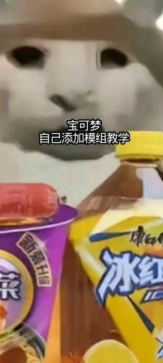 我的世界Java版添加模组教程