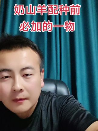 奶山羊配种前必加的一物#三农养殖 #养殖户 #养殖人加油 #奶山羊 #牛羊养殖 @DOU+上热门 @抖加🔥上热门🔥dou+🔥热点宝