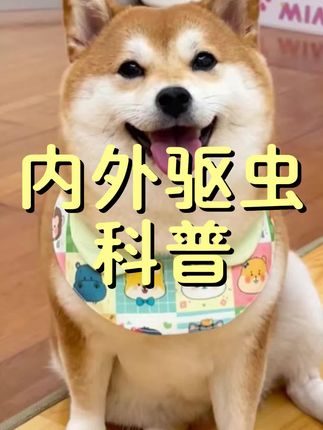 驱虫#内外同驱