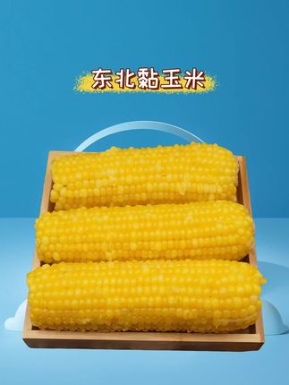 19.9到手10根,而且还都是大棒东北黄糯玉米又大又甜又香糯#糯玉米的营养价值#软糯香甜大人小孩都爱吃,太香了#哇又便宜又好吃#粗粮#无限回购的宝藏单品