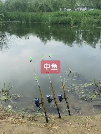 #筏竿