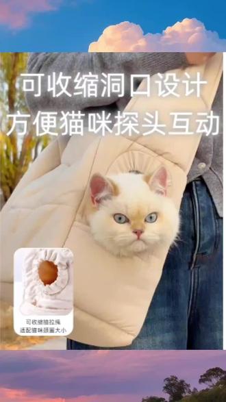 猫包外出便携宠物猫咪社会化狗狗外出包轻便大容量小型犬秋冬保暖#养猫新手 #宠物用品 #猫窝 #猫咪好物推荐 #宠物猫