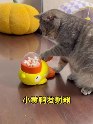 宠物猫狗投喂器。自娱自乐