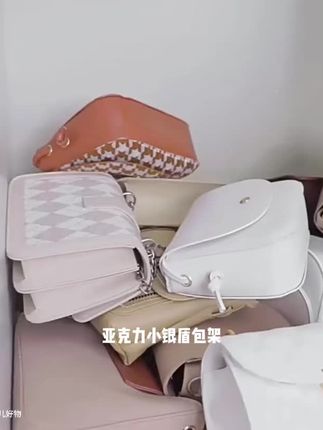亚克力小银盾包架,解决包包收纳难题。通透材质,加厚承重,圆润防刮。专为扁包设计,开口拿取便,分格不挤压。带把手易提取,可叠加省空间,夹缝也能用。衣柜、宿舍适用,让包包各得其所,空间整洁。#好物分享 #种草 #包包收纳架 #包包收纳 #仙女必备