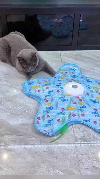 新款多功能猫咪捕猎游戏罩自动逗猫自嗨解闷互动玩具热卖#猫玩具#宠物玩具#捕猎罩#萌宠好物#好物推荐