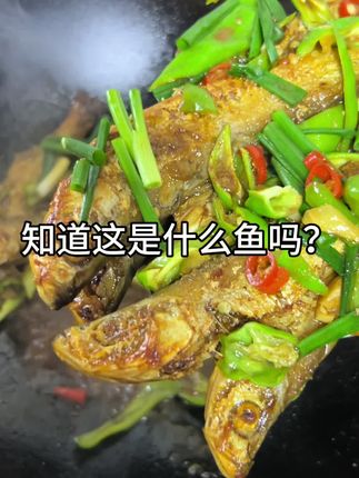 #无限回购的宝藏单品 刁子鱼#美食制作分享 #烟火气美食 #家常菜
