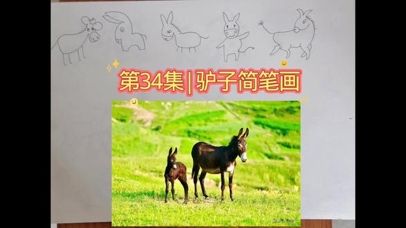 第34集|驴子简笔画#原创作品#原创绘画 #简笔画#真实生活分享计划