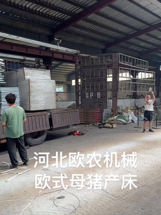 20套欧式母猪产床装车发货#欧式母猪产床#厂家直销