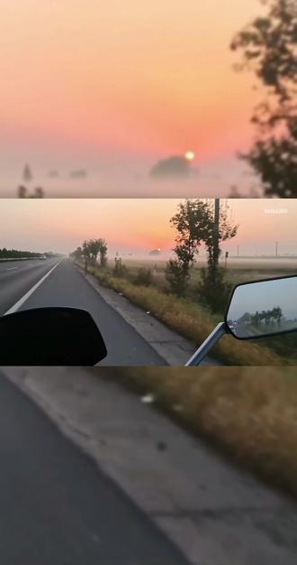 台铃封神车把轴承更换以及减震油更换,然后发现封神的减震簧居然是这样的#骑行 #台铃电动车 #电动车