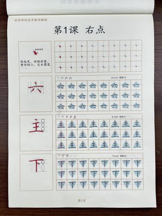 勤奋,重复,大量的练习才是写的一手好字的正确方法#练字 #练字帖 #书法