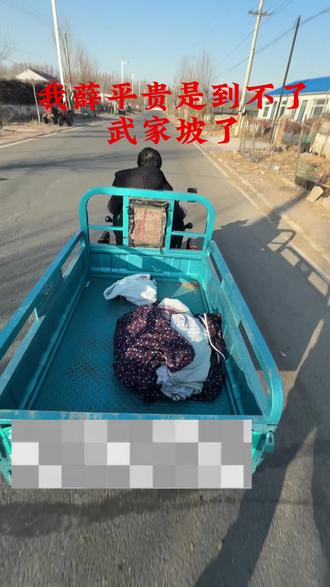 去往武家坡是这个路吗#武家坡 #忆昔当年泪不干 #抽象 #抖音 @抖音小助手 #心中有曲自然嗨