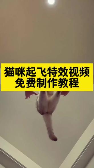 萌宠起飞氛围感慢动作特效视频制作教程!
#慢动作猫猫起飞视频怎么拍 #是只讲究喵 猫咪空中飞慢动作 #剪映 #猫咪怎么折慢动作教程 #猫猫起飞视频怎么拍 小猫咪怎么折慢动作教学 真爱降临猫咪版 猫咪起飞慢动作教程 猫咪起飞慢动作特效制作教程