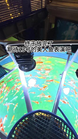 #普宁国际商品城 美人鱼缸深夜放鱼,美人鱼演出开启倒计时🧜♀️#美人鱼 #普宁吃喝玩乐