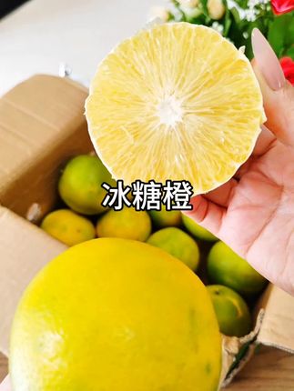 如果你还没有吃过冰糖橙,那你可就out了,好橙不可貌相,你可别看他是绿皮,但你吃上一口就会被他彻底惊艳到。水润多汁,果肉细腻,香甜可口,果园现摘现发!没吃过的不要错过#冰糖橙 #应季水果 #新鲜采摘 #水果 #快来一起尝个鲜