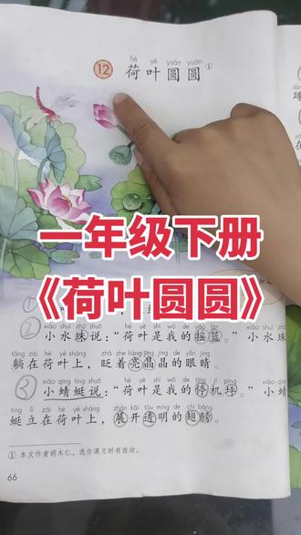 #真实生活分享计划 #一年级下册 #每天学习一点点 #涨知识 #小学语文
一年级下册语文《荷叶圆圆》 ,第66页