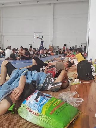 #真的是太难了#才来广东几天就要躲台风