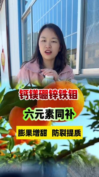 六元素同补钙镁硼锌铁钼,源头直发,一瓶就批发到家,可以复配磷酸二氢钾的高钙肥#钙镁硼锌铁钼 #四川柑橘 #柑橘种植 #芒果种植