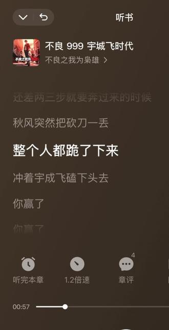 无人不识宇城飞
#年少轻狂 #不良之年少轻狂 #王浩 #宇城飞
