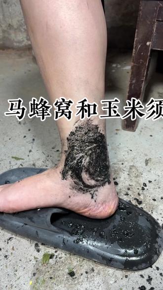 马蜂窝,玉米须,你有这样做过吗?#植物科普 #涨知识 #内容启发搜索