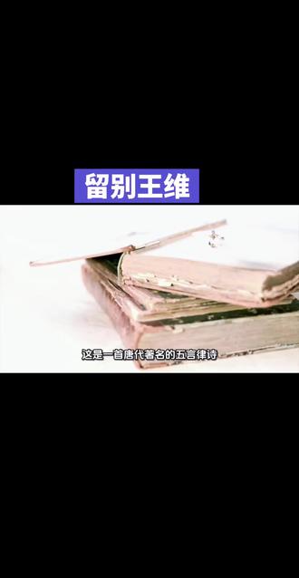 留别王维唐孟浩然#唐诗