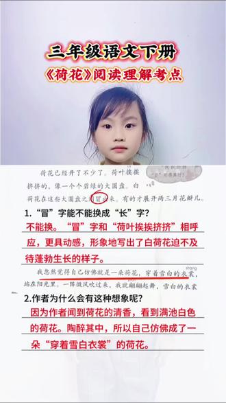 三年级语文下册 第一单元第三课《荷花》阅读理解考点#语文知识点 #语文知识分享 #阅读理解答题技巧 #语文学习方法