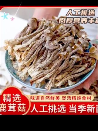 人工挑选,当季新菌,肉厚营养丰富,多种吃法味道鲜美,有喜欢吃的家人们拍下试吃吧#美食 #快来一起尝个鲜 #菌菇 #健康饮食 #抖音助农