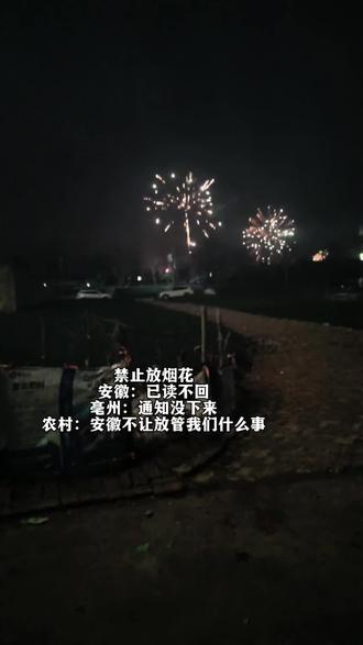 禁止放烟花
安徽:已读不回
亳州:看不见
农村:不让放,叫俺大娘绝你...#过年 #安徽烟花有多猛 #安徽烟花
