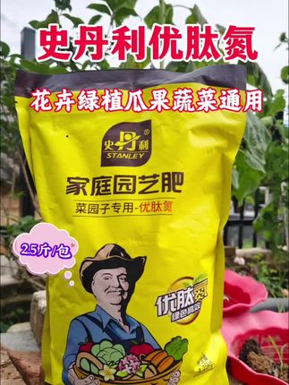 爬藤月季长芽后还没有䃼氮的,抓紧时间䃼氮,䃼氮就要用史丹利优肽氮,它富含氯元素和叶绿素,能更好的催芽壮芽#优肽氮#史丹利优肽氮#家庭园艺种植好帮手#花卉绿植养护