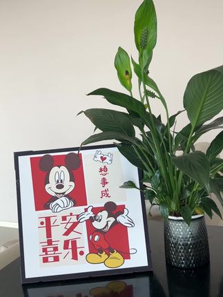 #日常分享 #洗碗