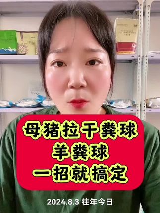 猪拉干粪球羊粪球一招轻松解决 #养猪 #养猪人加油干 #养猪人 #养猪人不容易 #猪拉干粪球 猪拉干粪球羊粪球一招轻松解决