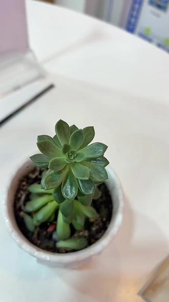 #新年了是时候给生活换个手机了#红米15R#岚县同城推荐