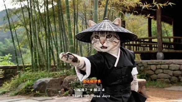 小喵这次还真不客气了#邵氏电影 #神奇动物在抖音 #猫 #武侠 #接下来我就不客气了