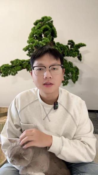 流浪猫该如何正确投喂#流浪猫救助 #养猫经验分享