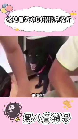 被这首汽水DJ狠狠拿捏了 #汽水音乐 #歌单种草计划 #dj #剪辑 #活埋dj