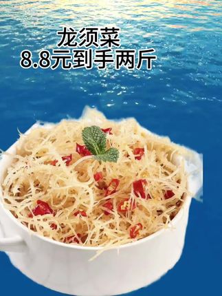 #龙须菜 #好吃不贵经济实惠 #好吃到停不下来 #划算