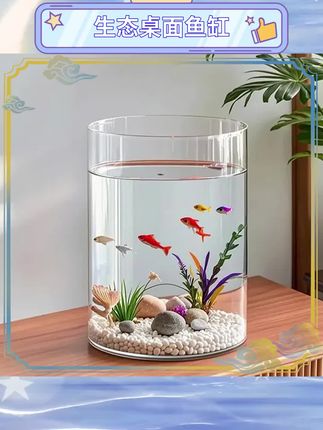 这款防摔高透小型生态桌面鱼缸,透明亚克力材质,仿玻璃质感,圆形设计简约大方,适合养金鱼或小型水生植物。放在桌面上既美观又实用,为生活增添一份自然气息。#桌面鱼缸 #生态鱼缸 #亚克力鱼缸 #家居好物