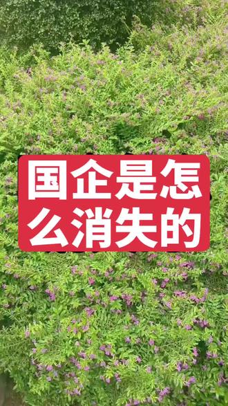 #上热门话题6000亿流量 国企私有化的过程