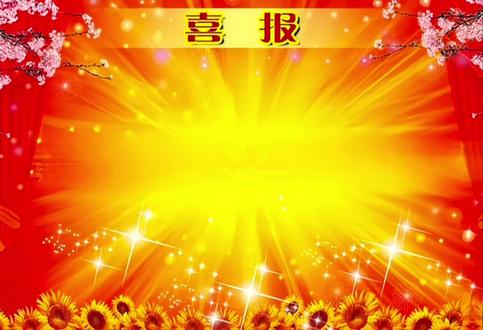 喜报喜报#单招 #单招成绩查询 #单招加分 #单招上岸